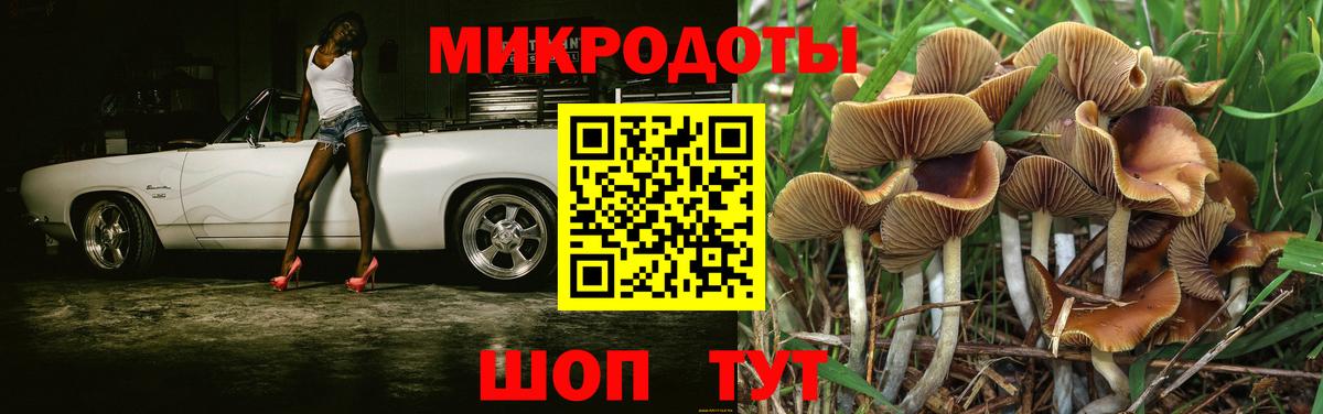 как найти наркотики  Вход с VPN  Красногорск  Псилоцибиновые грибы мицелий 