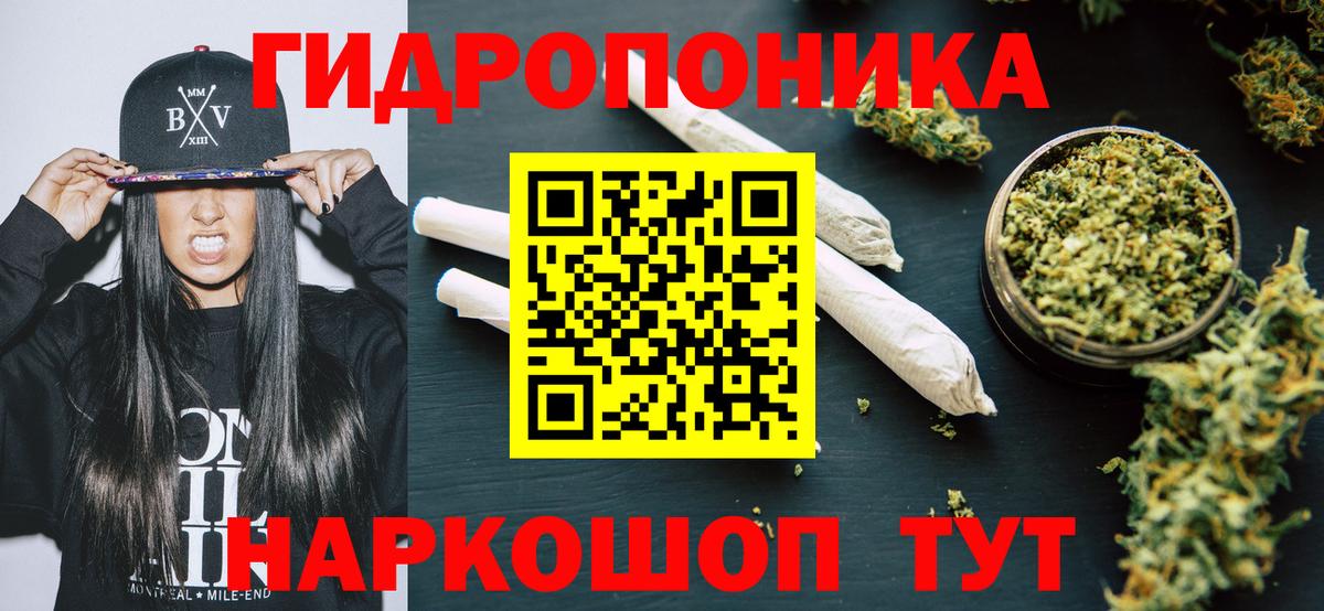 Бошки Шишки план Красногорск
